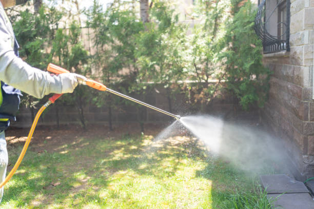 Best Mosquito Control Services  in Madison Park, NJ