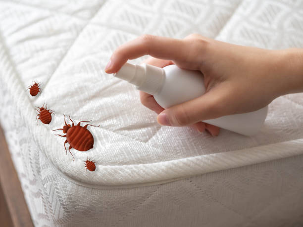 Professional Pest Control in Madison Park, NJ